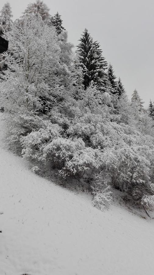 Pension Brunner Bad Kleinkirchheim Eksteriør bilde